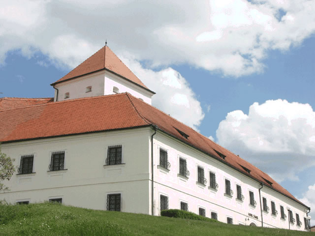 Hotel Zámek Čejkovice