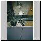 The Cat on the Cold Glass Roof